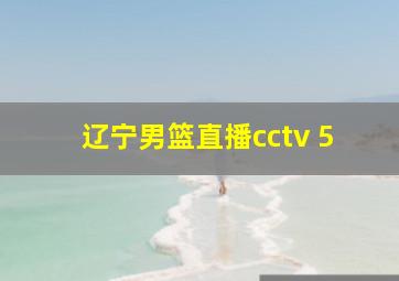 辽宁男篮直播cctv 5